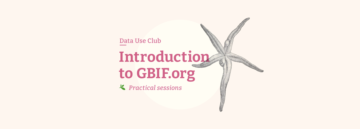 intro-gif-org