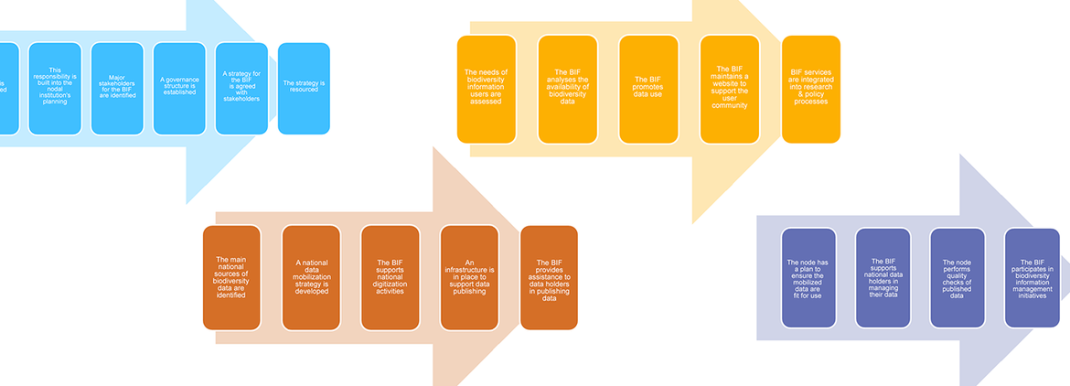 Capacity self-assessment tool